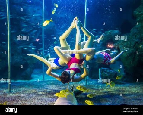 福州俄语培训辅导