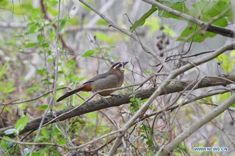 福州西班牙语培训补习