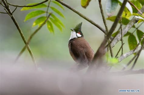 福州哪法语培训