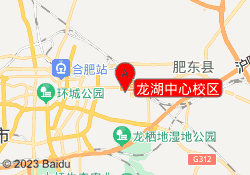 龙湖中心校区