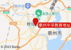 泉州牛学教育地址