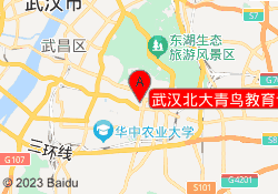 武汉北大青鸟教育课工场华中校区