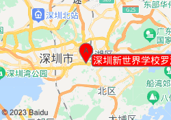 深圳新世界学校罗湖校区