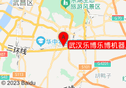 武汉乐博乐博机器人教育关山校区