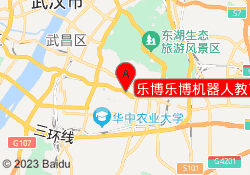 乐博乐博机器人教育武汉鲁巷校区