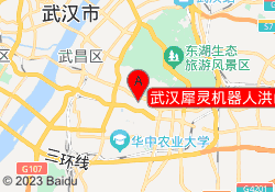 武汉犀灵机器人洪山校区