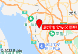 深圳市宝安区原野美妆