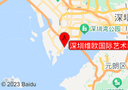 深圳维欧国际艺术教育