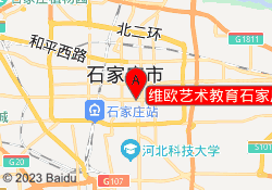 维欧艺术教育石家庄裕华校区