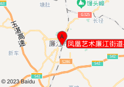 凤凰艺术廉江街道办校区