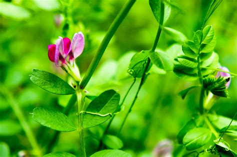 合肥插花培训班