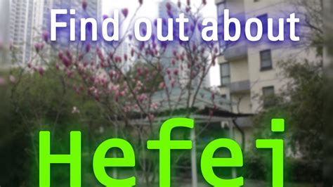 合肥室内设计培训班哪里有