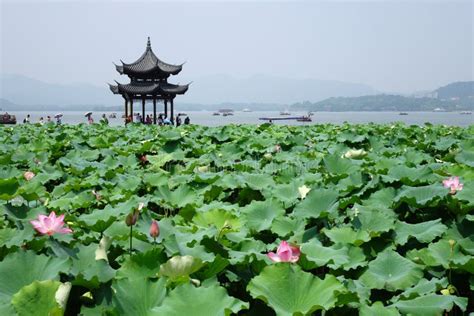杭州暑期心理师培训