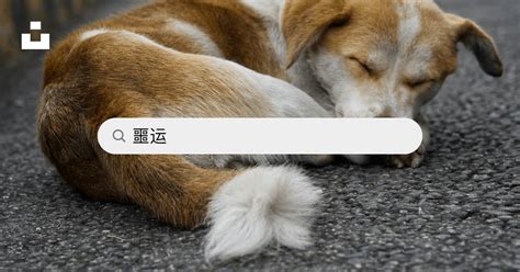 杭州人力资源管理师三级培训班