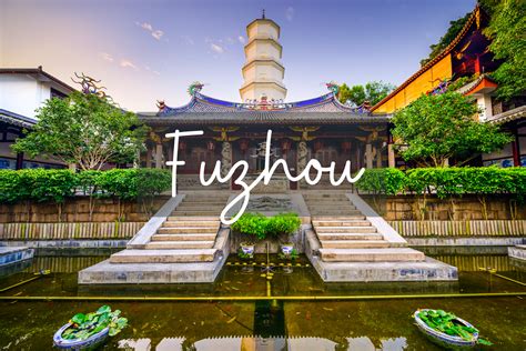 福州高中3年级暑假语文学习多少钱