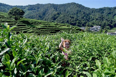 杭州喜爱宝催奶师培训学费