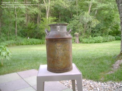 杭州喜爱宝催奶师培训