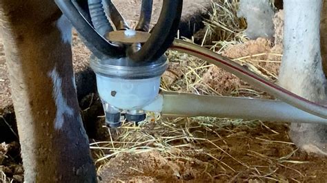 杭州正规催奶师培训