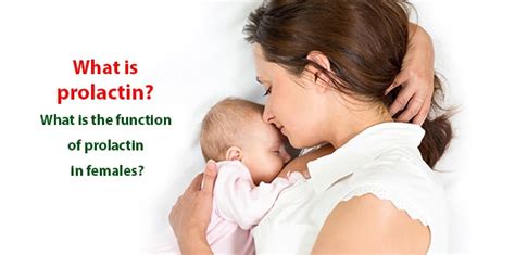 喜爱宝催乳师母婴护理 杭州催乳师