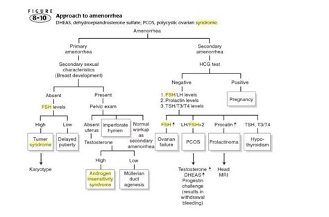高级母婴护理师双证 催乳师