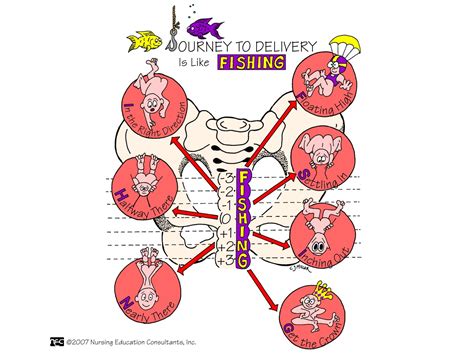高级母婴护理师双证实战 杭州中医催乳师
