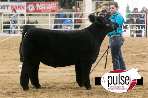 杭州催乳师的前景怎么样