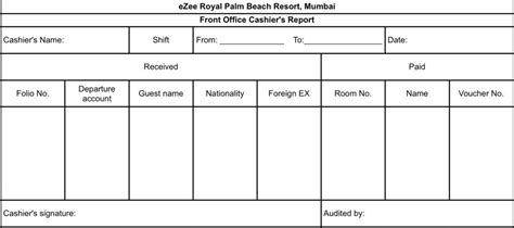 出纳会计实训报告