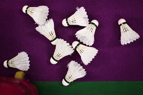 杭州少儿羽毛球培训课程