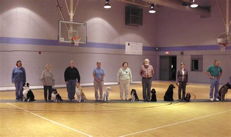 【杭州影视后期新手培训班哪个好】