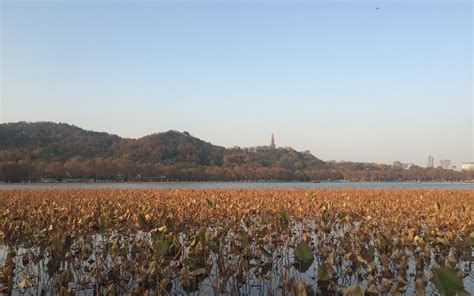 杭州CorelDraw怎么培训