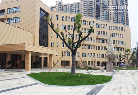 杭州中班绘画兴趣班