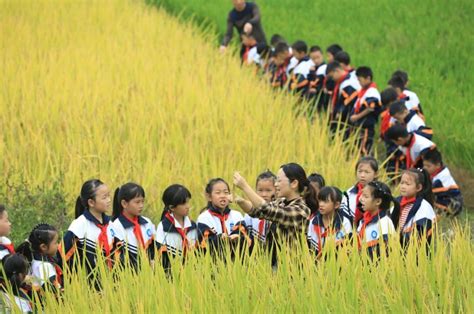 杭州幼儿美术教师培训