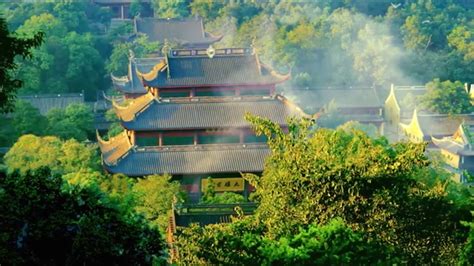 杭州哪里能学画画