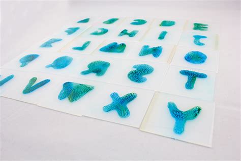 西湖区平面设计培训哪个好