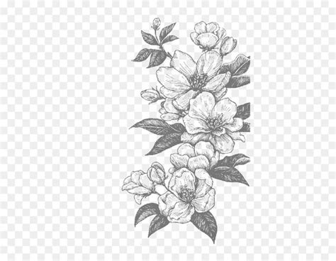 西湖区平面设计实战培训