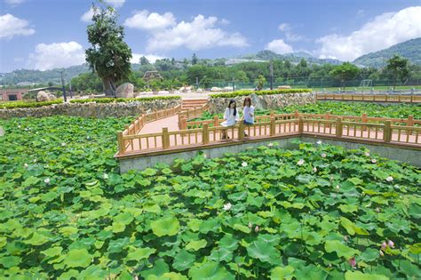 2019年漳州二级建造师培训班介绍