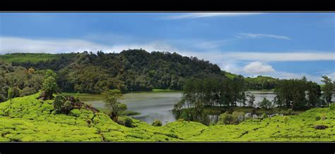 【西湖区java软件培训多少钱】