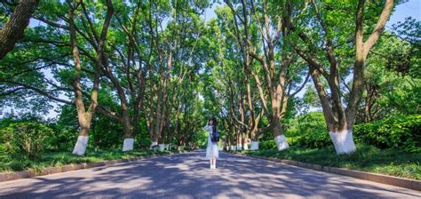 杭州余杭区咖啡师入门培训