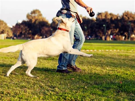 ​杭州儿童情绪管理培训一般多少钱
