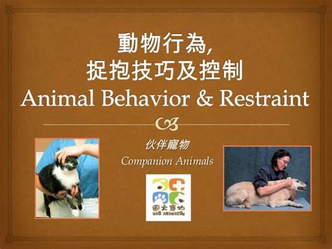 杭州青少年行为约束