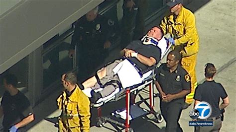 西湖区阿斯伯格与自闭症培训