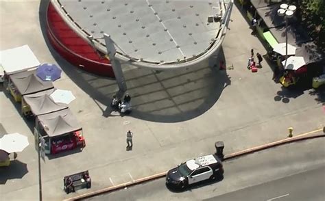 西湖区少儿阿斯伯格与自闭症培训