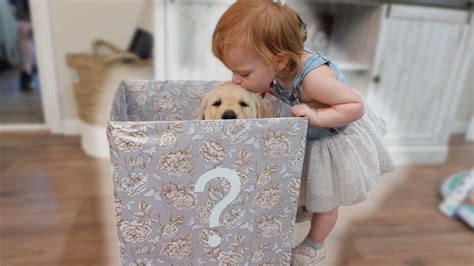 女儿早恋怎么教育