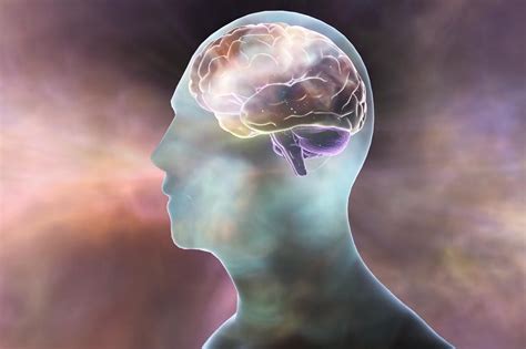 怎么开发大脑记忆力