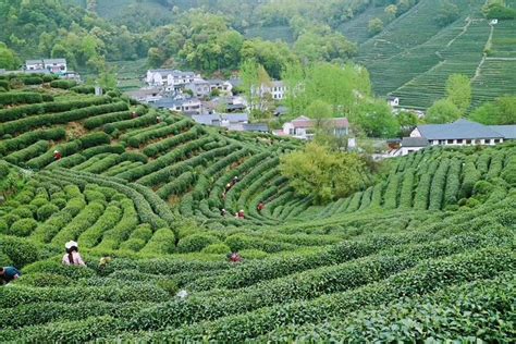 杭州**强大脑如何训练记忆力