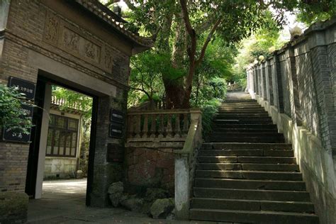 杭州注意力教育笔记