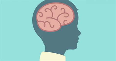 杭州教育心理学 注意力 儿童教育学