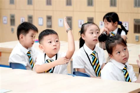 杭州儿童教育培训项目