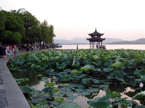 杭州西湖区咖啡培训