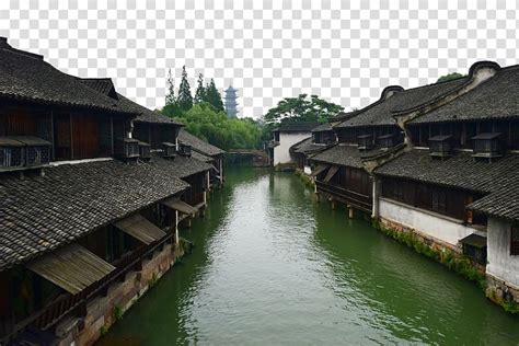 西湖区厨师师培训学费